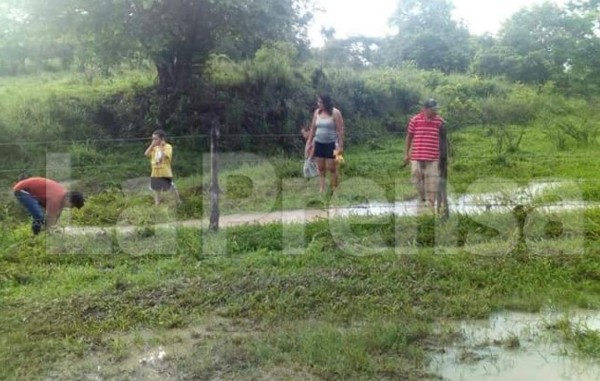 Video de la sorprendente lluvia de peces en Yoro