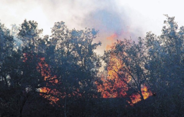 Arde sierra de El Merendón