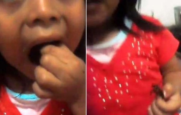 Rescatan a niña obligada a comer cucarachas por sus padres