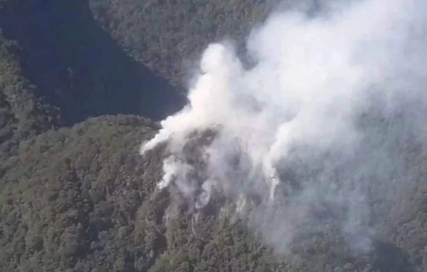 En Pico Bonito hay una 'alteración térmica', concluyen expertos