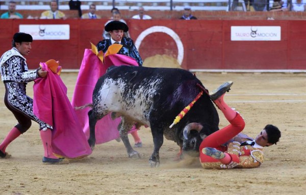 Muere torero español Víctor Barrio tras ser corneado