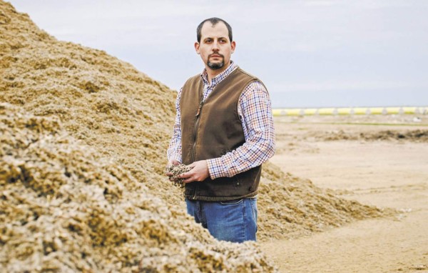 El algodón de EE.UU. está en la cuerda floja