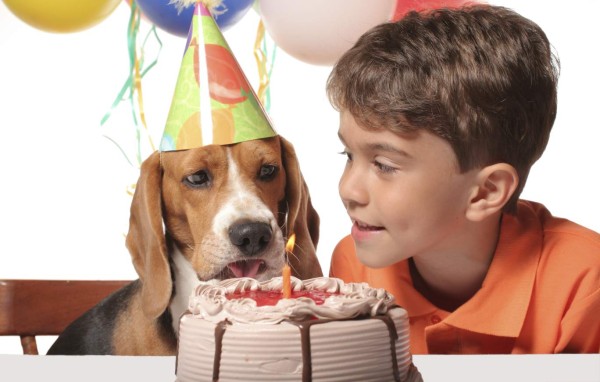 Consienta a su mascota en su cumpleaños