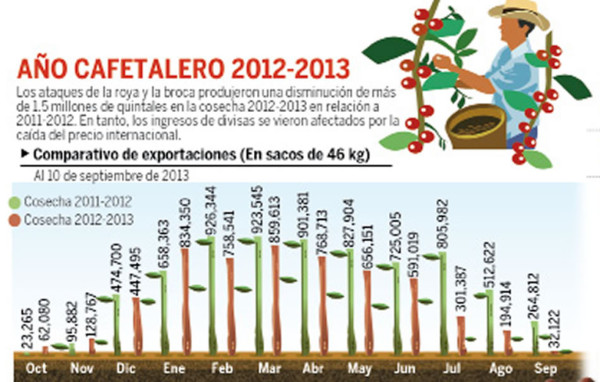 Productores de café ven con esperanza la cosecha 2013-2014