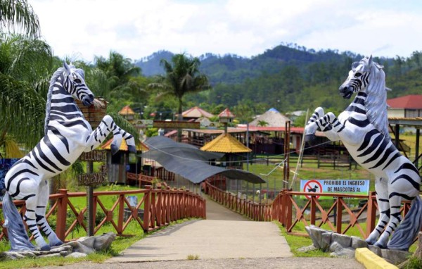 'Arca de Noé' busca salvar Joya Grande, herencia del narcotráfico en Honduras