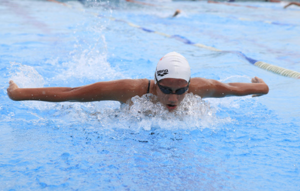 Delfines también arrasa en piscina corta