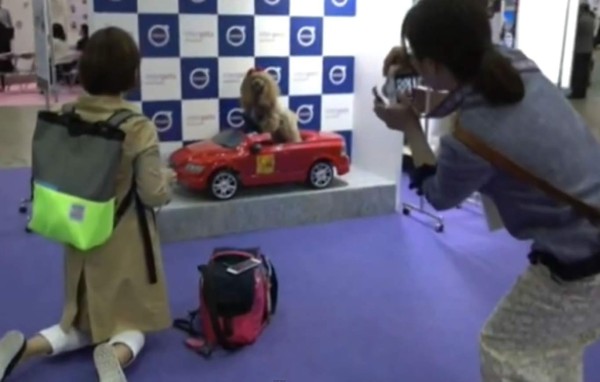 Lo más innovador en el mundo de las mascotas llega a Tokio    