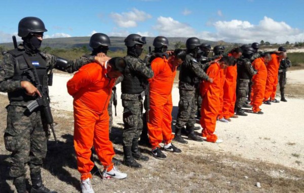 A El Pozo asesinos de Landaverde, Gauggel y el hijo de la rectora