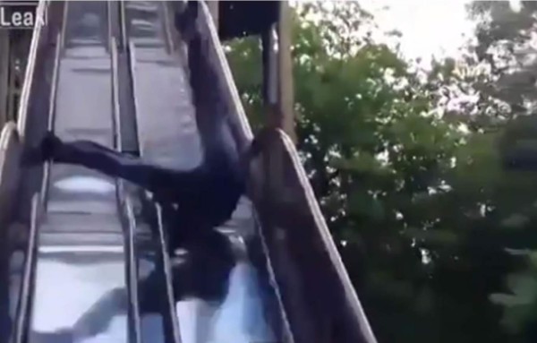 El momento cuando este individuo se da tremenda golpiza por su propia cuenta. Foto YouTube.