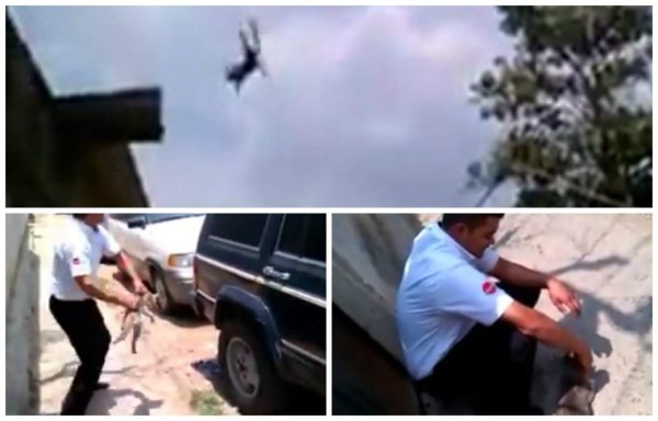 Video: Indignación causa en redes el maltrato de un gato