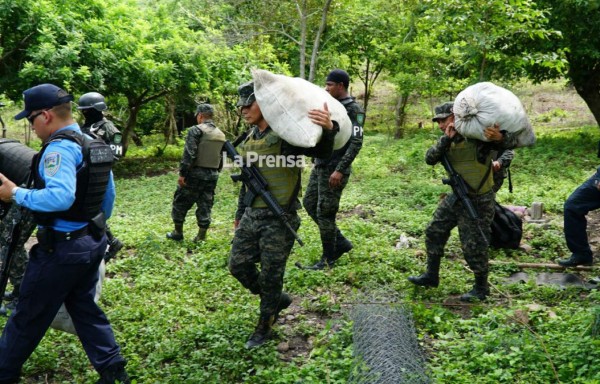 Enterrada hallan 350 libras de marihuana y cuatro fusiles
