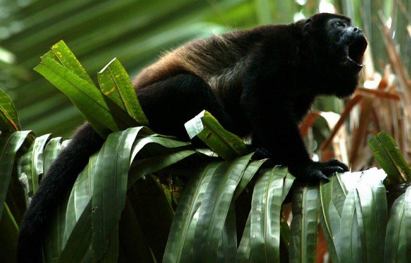 Por los encantos escondidos de Punta Sal