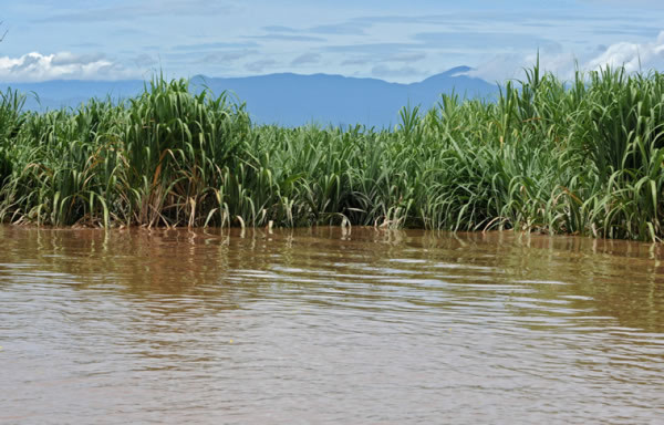 Honduras: El Progreso afectado por inundaciones