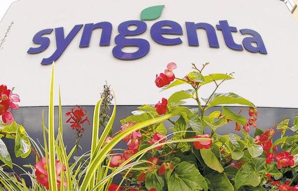 Syngenta, el nuevo blanco de la ambición de los gigantes chinos