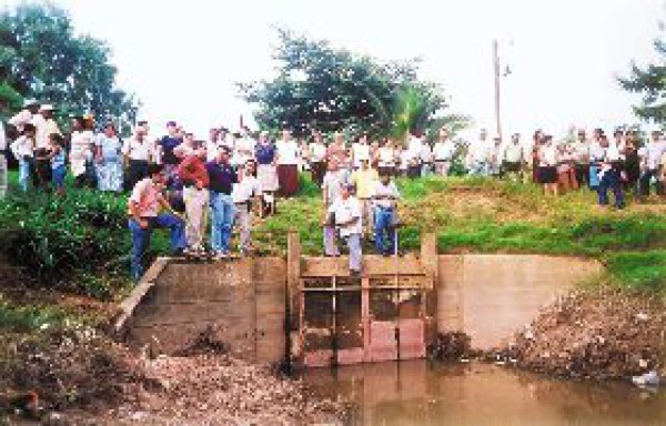Protegerán colonia de filtración del Ulúa