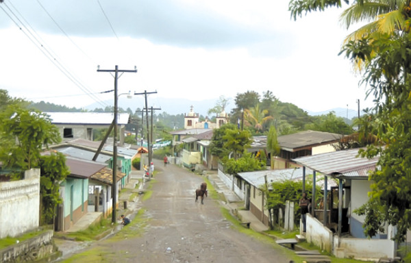 Sector agrícola será impulsado en Villanueva
