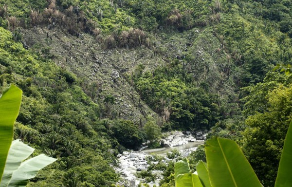 Tala y deforestación acaban con cuencas de ríos en La Ceiba