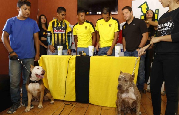 Real España llevó perros pitbulls en la presentación de Claros