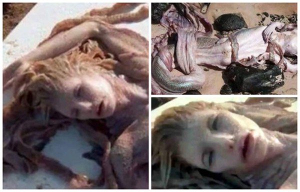 Video: Una 'sirena' muerta en la playa conmociona a México