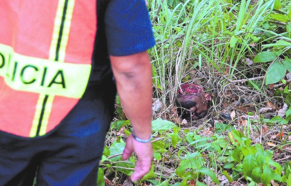 Le cortan cabeza con retén de alambre