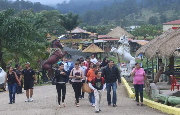 Varios visitantes llegaron ayer al zoológico Joya Grande para apreciar a los distintos animales, aunque en esta ocasión la motivación especial fue la tigresa blanca.