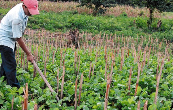 Corrigiendo la caricatura