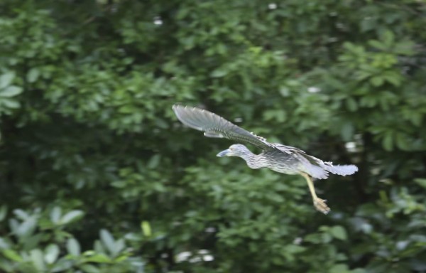 Cuero y Salado atrapa y encanta por su esplendor