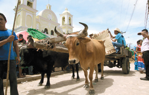 Lempira vive en sangre lenca