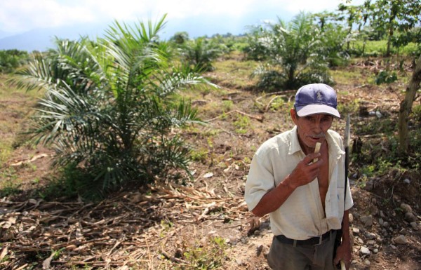Campesinos de Honduras exigen reforma agraria