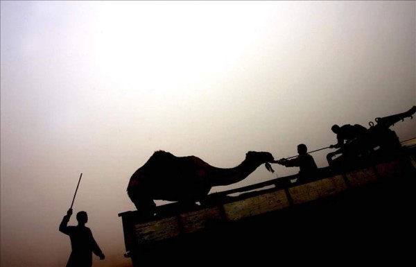 Ascienden a 178 los muertos por explosión de un camión cisterna en Sudán