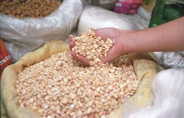 Importación de maíz ascenderá a más de 19,000 toneladas