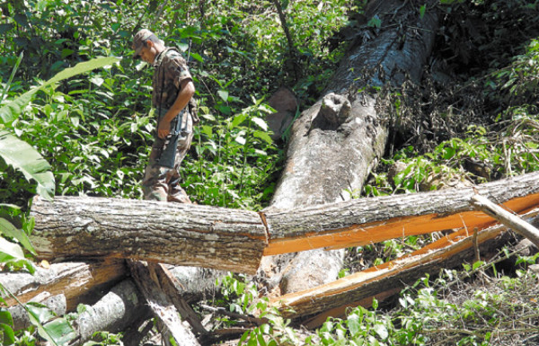 Parque Pico Pijol en riesgo por asentamientos y tala