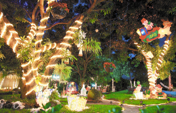 La colección de Mimí