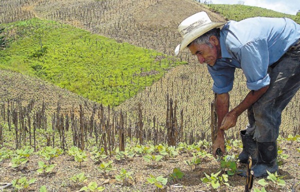 Udis, el trueque moderno