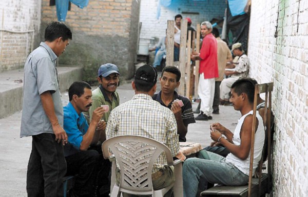 Reos de Copán también hacinados