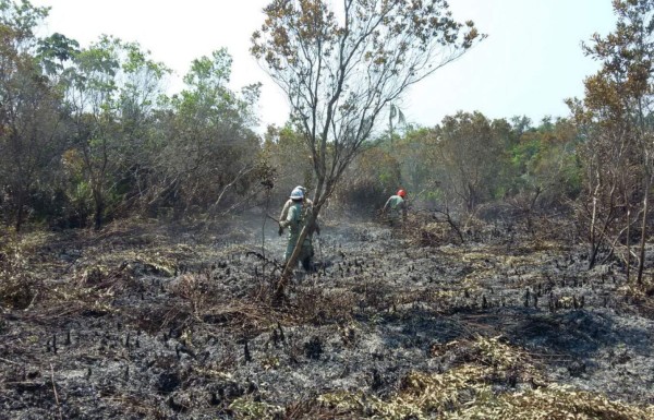 Tras cinco días logran apagar incendio en el Jeannette Kawas