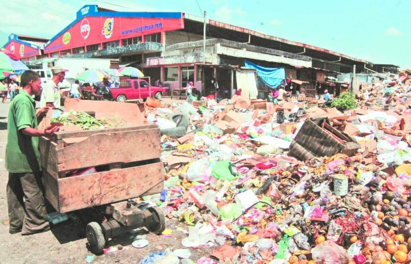 Hasta en marzo Sulambiente comenzará a recoger basura