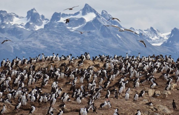 Navegar en Ushuaia, la ciudad más austral del mundo