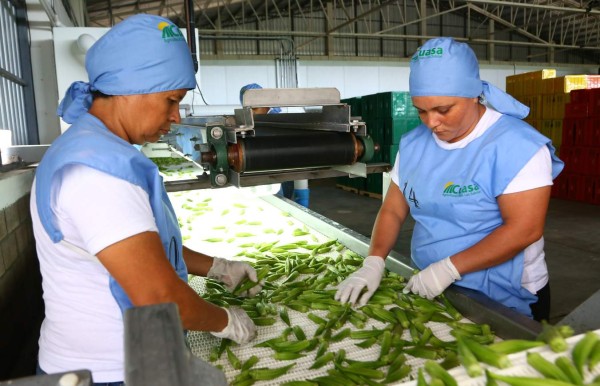 Agricultores presentarán su oferta exportable a empresarios de Canadá