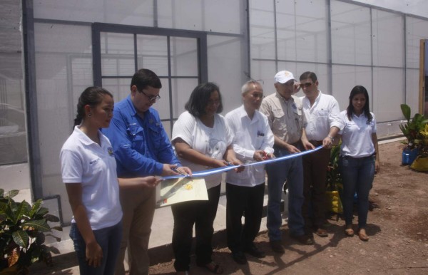 Taiwán apoya vivero de cítricos