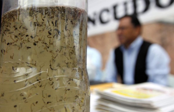 Casos de dengue bajaron en más de 5,000 en primer semestre de 2017