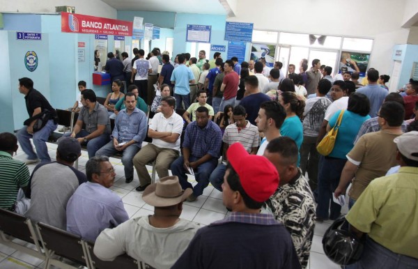 Solo 200 licencias diarias emite Tránsito en San Pedro Sula