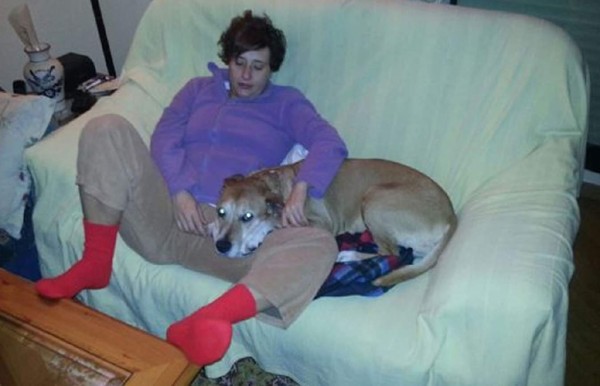 Ni las campañas salvaron a Excálibur, perro de enfermera con ébola en España