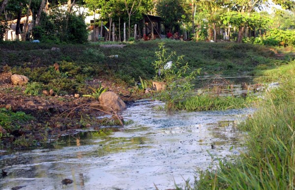 Alerta por aumento de casos de malaria en El Progreso