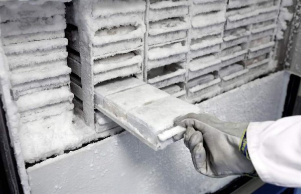 Un hospital español crea un banco de cerebros para el estudio de enfermedades