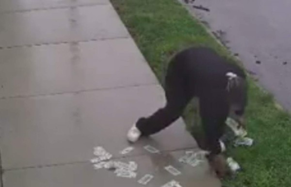 Roba un banco y se le cae el dinero cuando huía en bicicleta