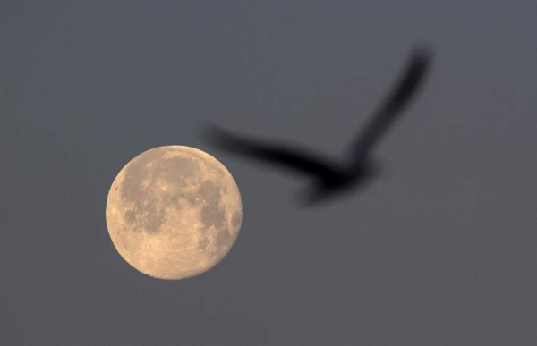 Una luna llena más grande y brillante iluminará esta noche el cielo  