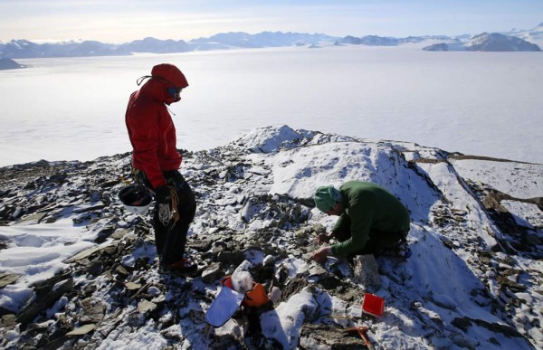 Nanopartículas de la Antártida servirían para marcar células tumorales