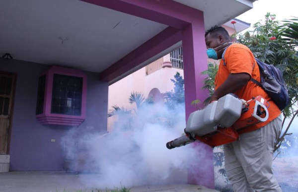 Realizan operativo de fumigación en Chamelecón