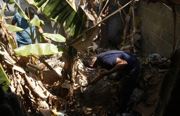 Capturan a nueve integrantes de la mara Salvatrucha en Honduras